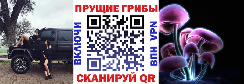 МЕГА tor  Грозный  Псилоцибиновые грибы Magic Shrooms 